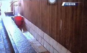 昆明卫生间爆料事件视频,事件真相与公众关注